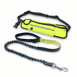 Handsfree Bungee Dog Leash - Poshful Pups