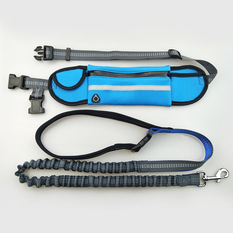 Handsfree Bungee Dog Leash - Poshful Pups