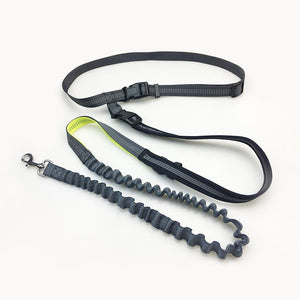 Handsfree Bungee Dog Leash - Poshful Pups