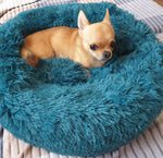 Load image into Gallery viewer, Calming Donut Cuddler Colorful Collection - Poshful Pups
