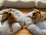 Load image into Gallery viewer, Calming Donut Cuddler - Poshful Pups
