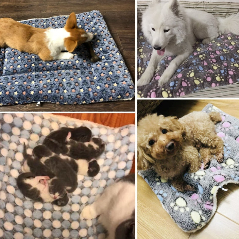 Soft Fleece Padded Blanket - Poshful Pups