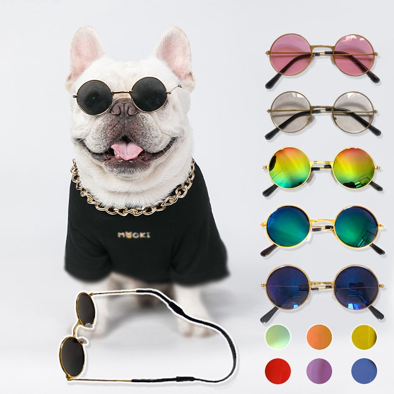 For Dogs Cats Pet Accessories Glasses Sunglasses Harness Accessory Puppy Products Decorations Lenses Gadgets Goods For Animals - Poshful Pups