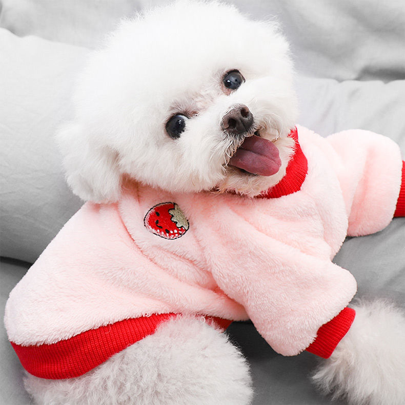 "Friday Night In" Cosy Pullover - Poshful Pups