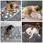 Load image into Gallery viewer, Soft Fleece Padded Blanket - Poshful Pups
