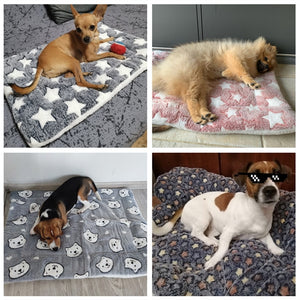 Soft Fleece Padded Blanket - Poshful Pups